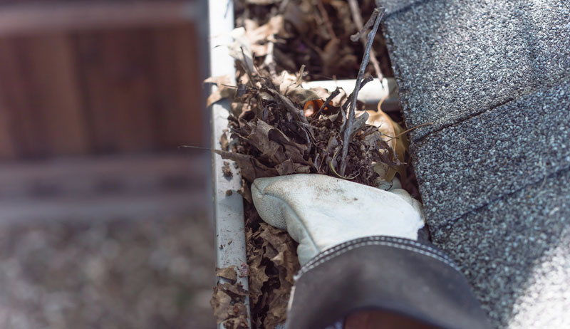 roofers of Surrey gutter cleaning